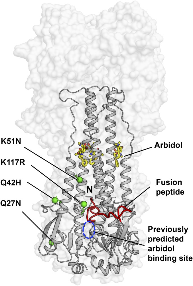 Fig. 6.