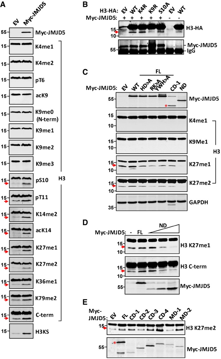 Figure 5