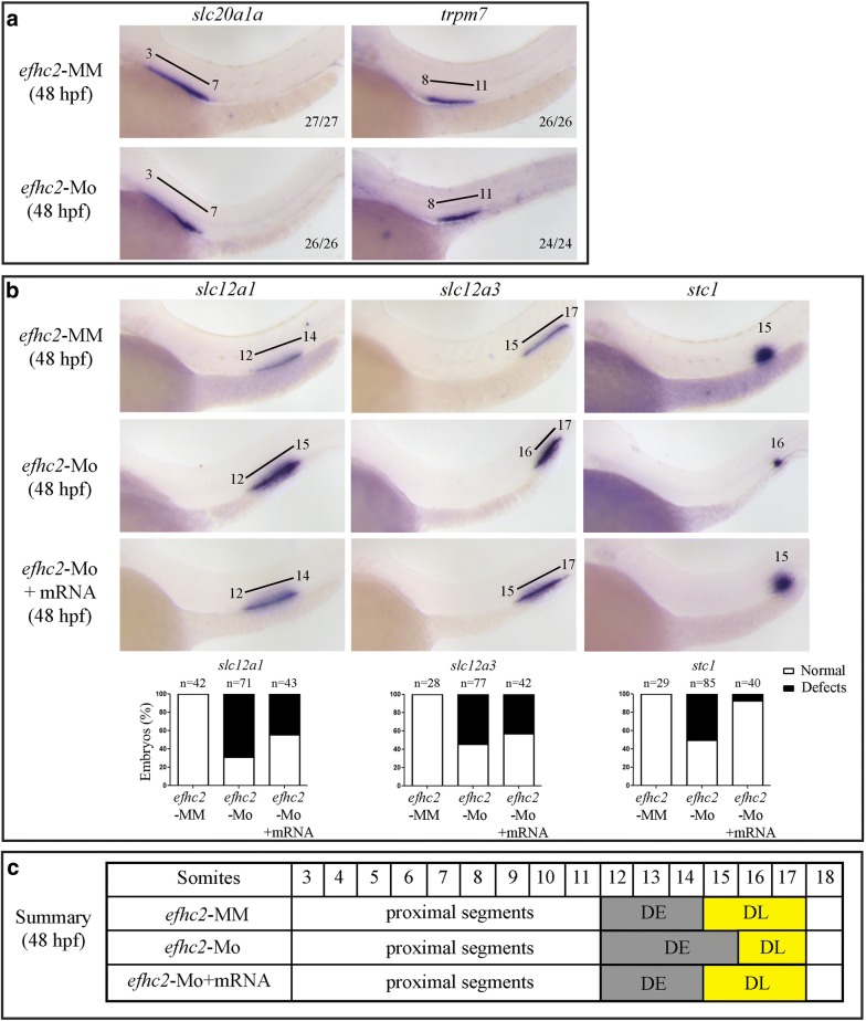 Fig. 3