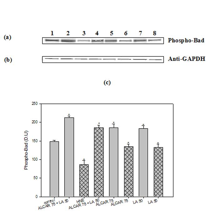 Fig. 11