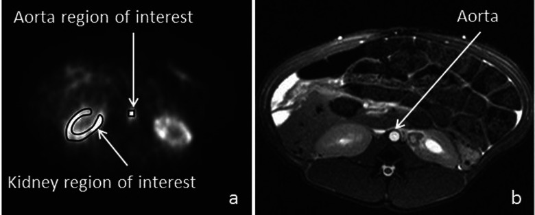 FIG. 1.