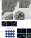 FIG 8