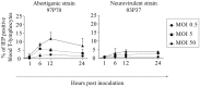 FIG 4