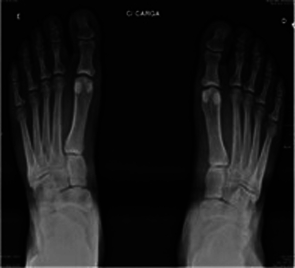 Fig. 8
