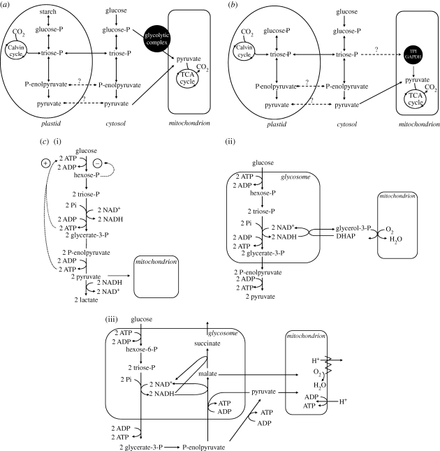 Figure 1.