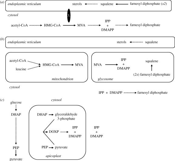 Figure 4.