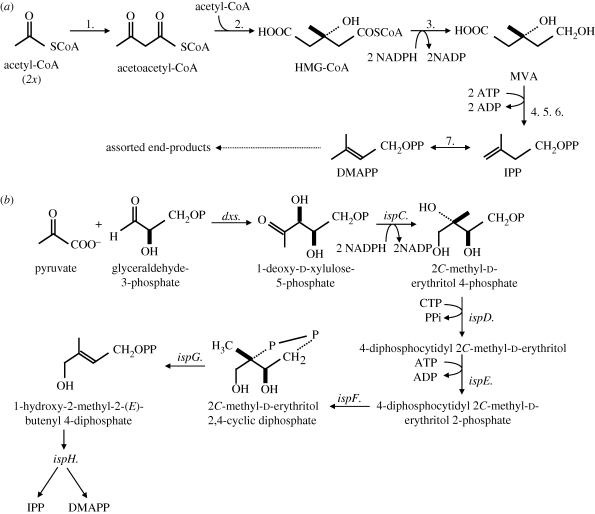 Figure 2.