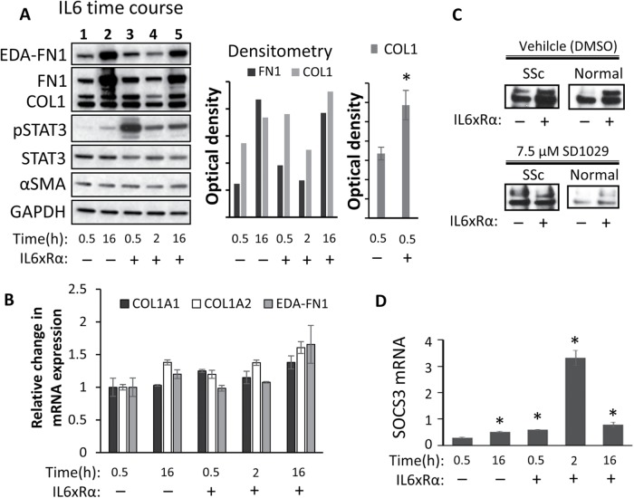 FIGURE 3: