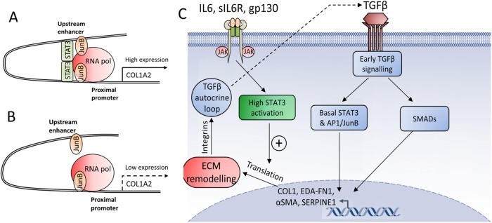 FIGURE 9: