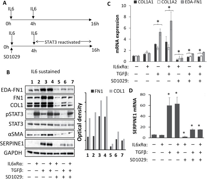 FIGURE 4: