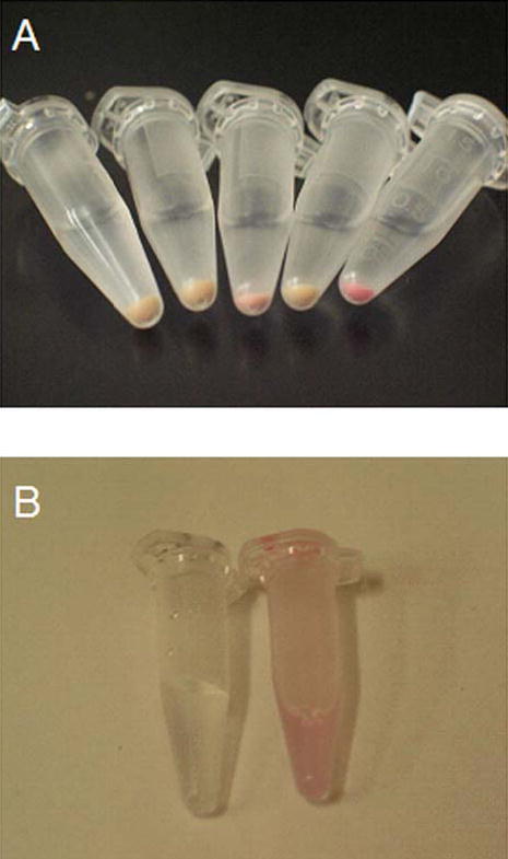 Supplementary Figure 1