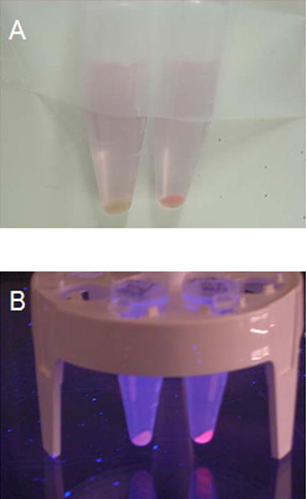 Supplementary Figure 3