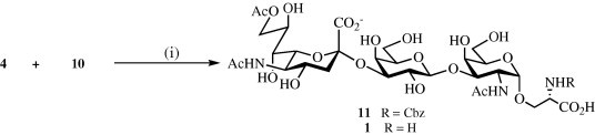 Scheme 3