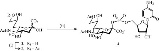 Scheme 1