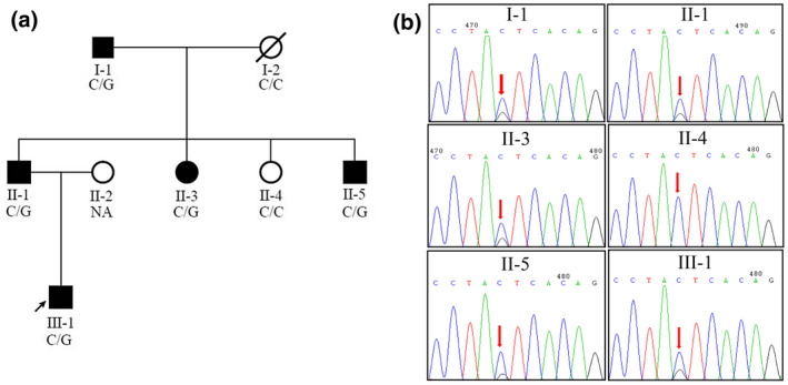 FIGURE 1