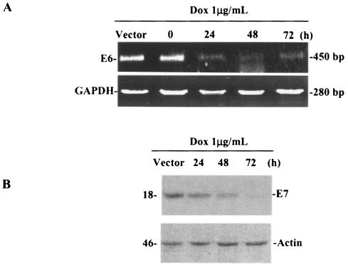 FIG. 9.