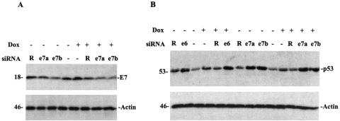 FIG. 10.