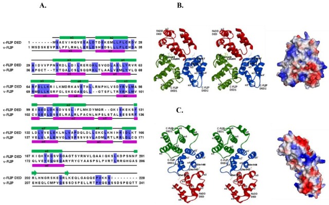 Fig. 2.