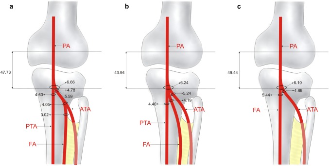 Fig. 3