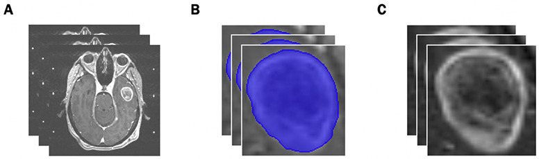 Figure 1.