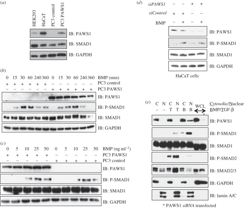 Figure 3.