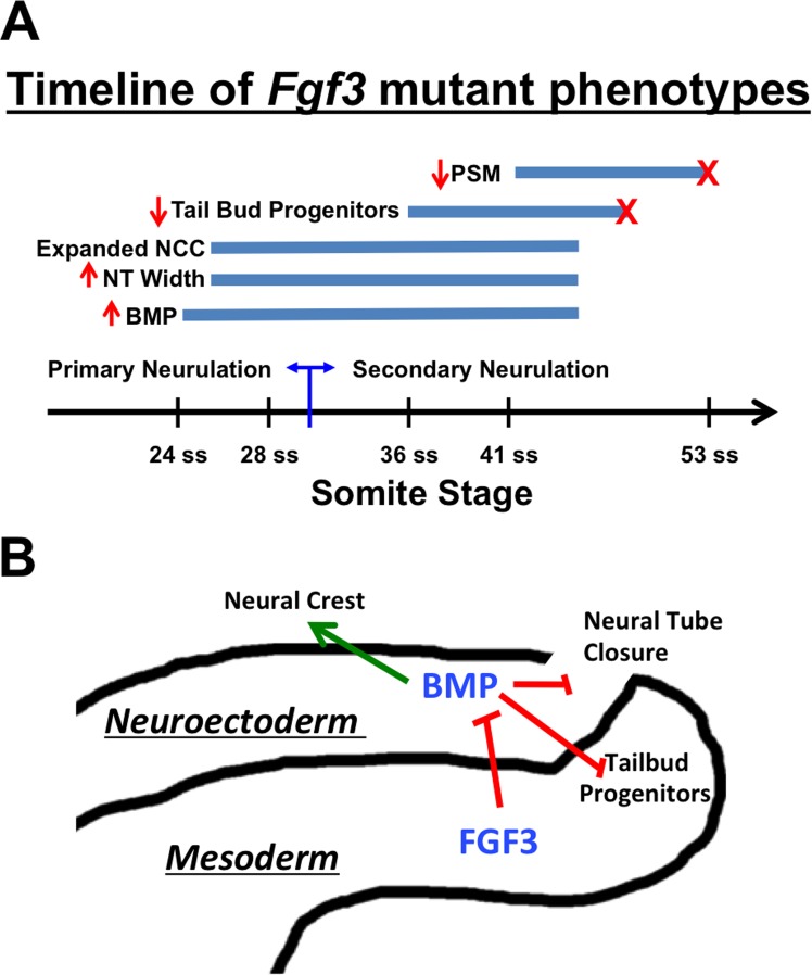 Fig 10