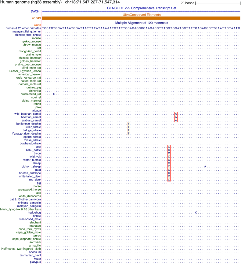 Figure 2: