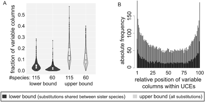 Figure 3: