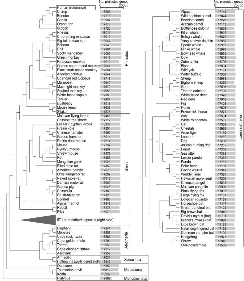 Figure 1: