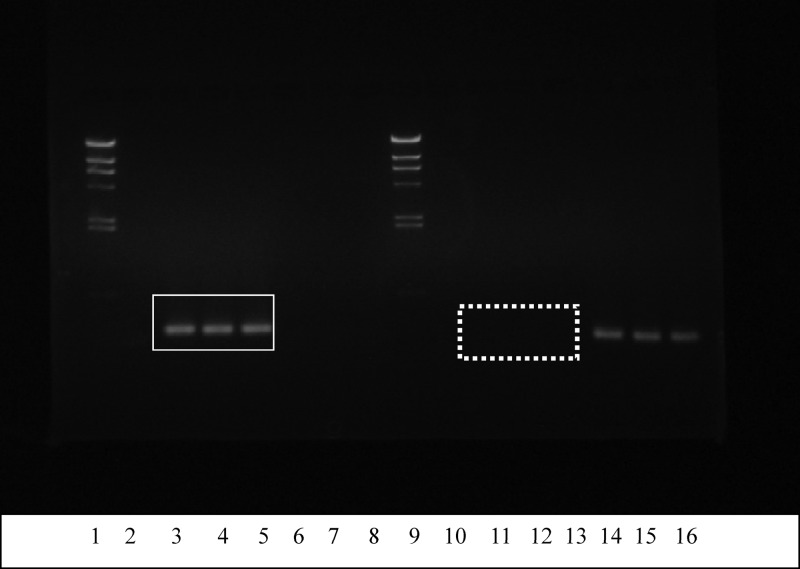 Fig 5