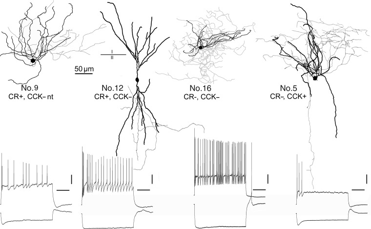 Figure 7.