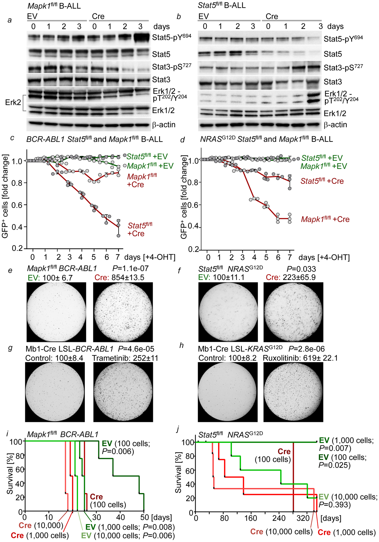 Figure 4: