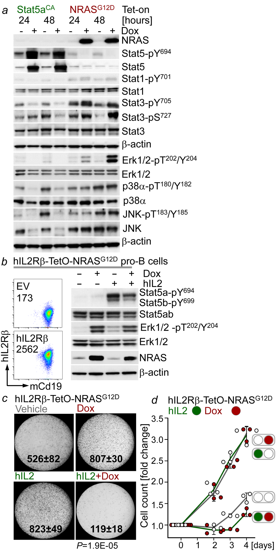 Figure 3: