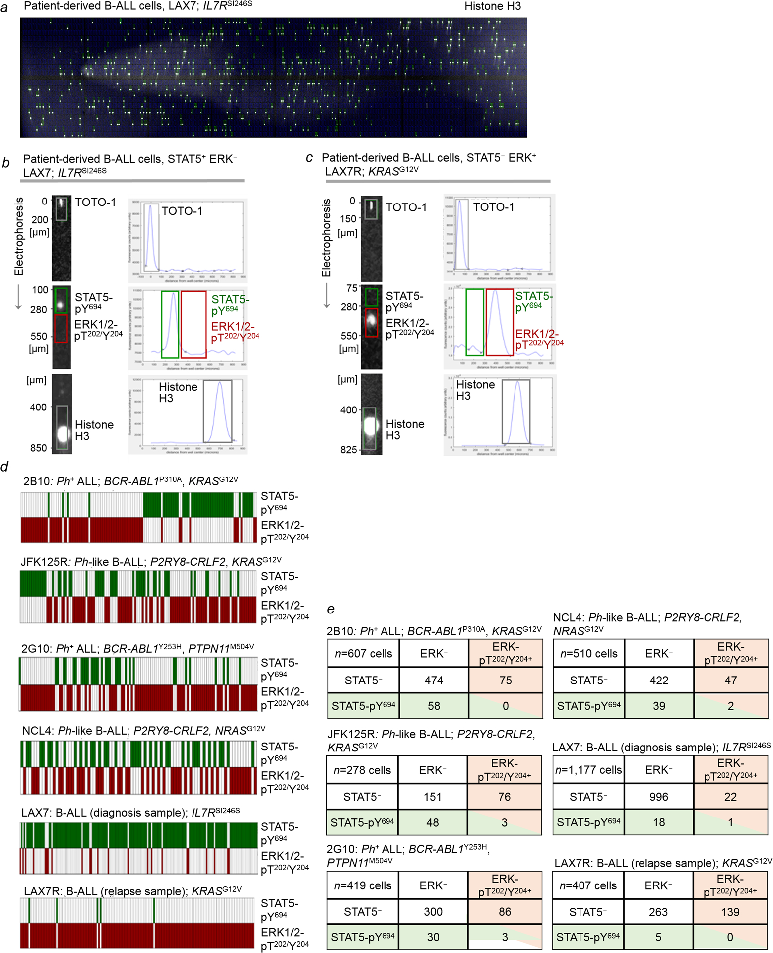 Extended Data Figure 2.