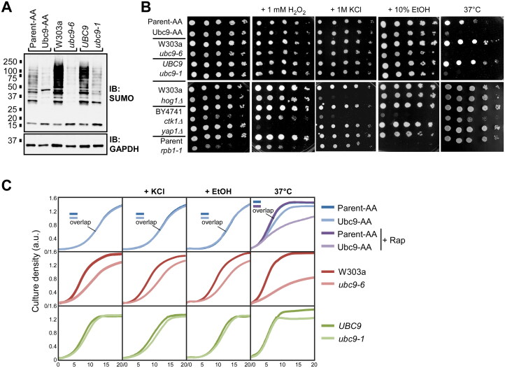 FIG 3