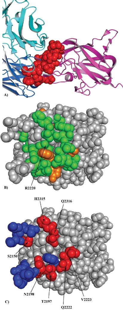 Figure 4.