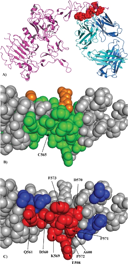 Figure 3.