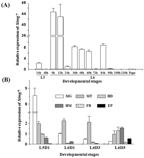 Figure 7