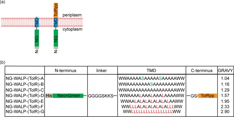 FIG 1