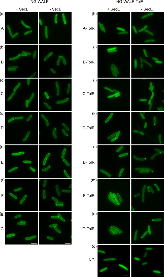 FIG 6