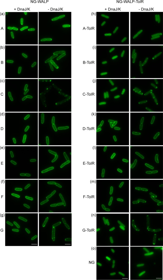 FIG 3