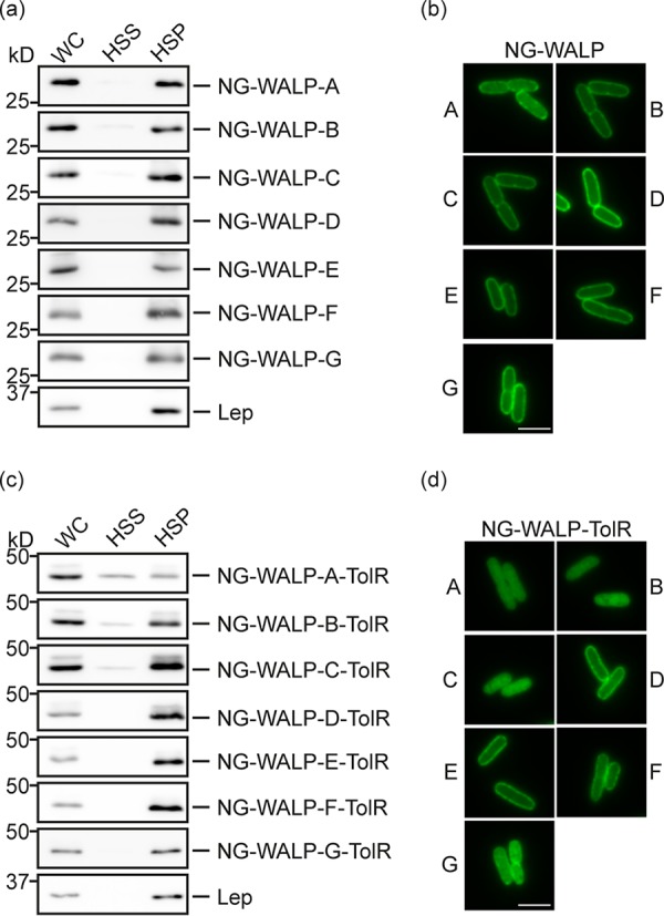 FIG 2