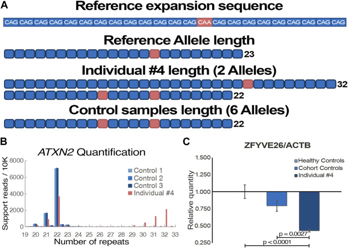 FIGURE 3