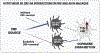 Figure 9.