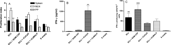 FIG. 2.