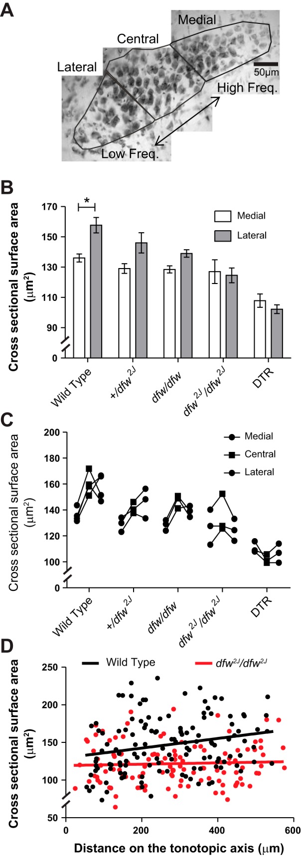 Fig. 3.