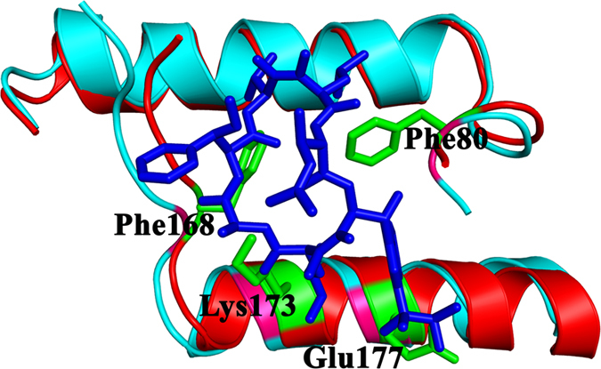 Figure 10