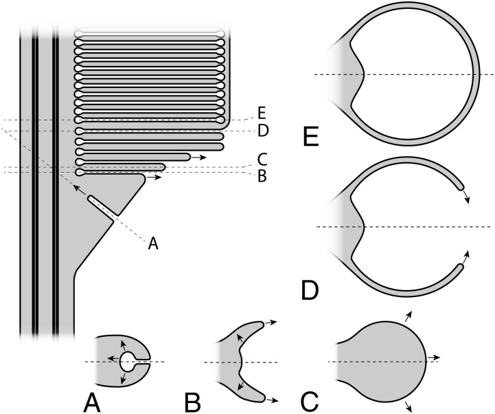 Fig. 5.