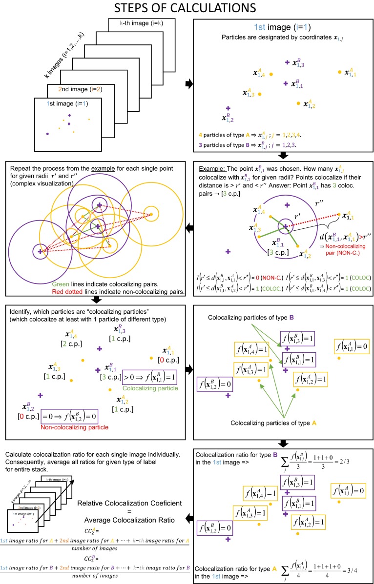 Fig. 2