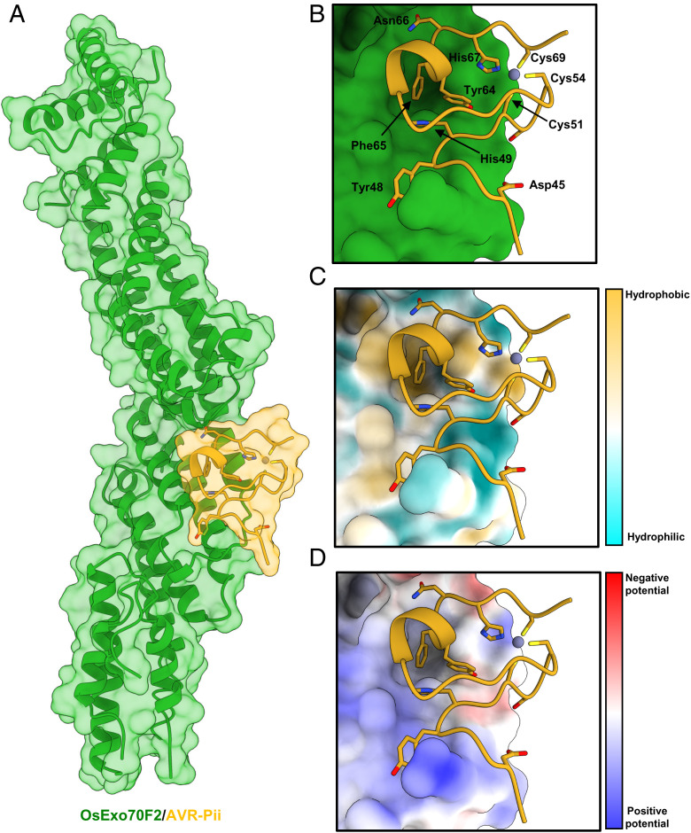 Fig. 2.